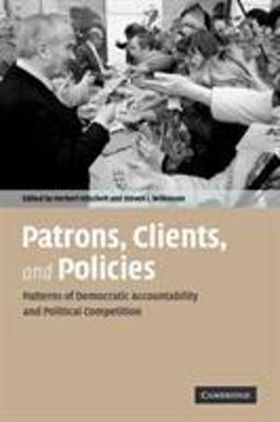 Patrons, Clients, and Policies Patterns of Democratic Accountability and Political Competition  9780521690041 Front Cover
