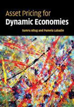 Asset Pricing for Dynamic Economies  9780521699143 Front Cover