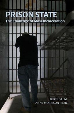 Prison State The Challenge of Mass Incarceration  9780521713399 Front Cover