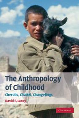 Anthropology of Childhood Cherubs, Chattel, Changelings  9780521716031 Front Cover