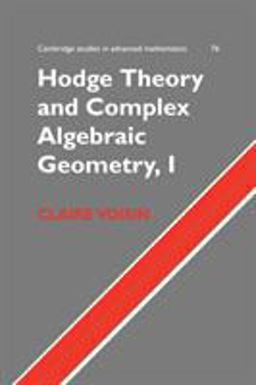Hodge Theory and Complex Algebraic Geometry I