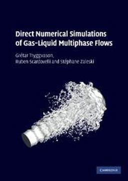 Direct Numerical Simulations of Gas-Liquid Multiphase Flows  9780521782401 Front Cover