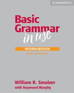Basic Grammar in Use Workbook with Answers