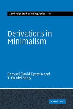 Derivations in Minimalism