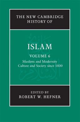 The New Cambridge History of Islam