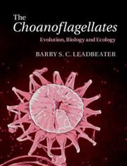 Choanoflagellates Evolution, Biology and Ecology  9780521884440 Front Cover