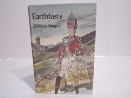 Earthfasts