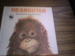 Orangutan