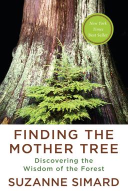 Finding the Mother Tree Discovering the Wisdom of the Forest  9780525656098 Front Cover