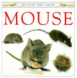 Mouse