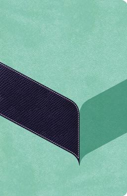 Woman's Study Bible  9780529115348 Front Cover