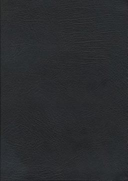 The MacArthur Study Bible