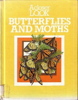 A Closer Look at Butterflies and Moths
