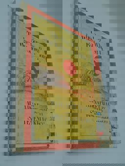 The Boy Who Was Followed Home