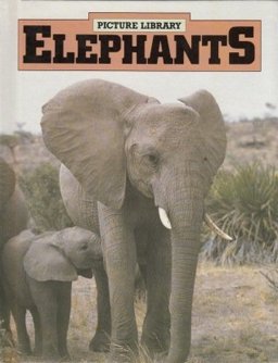 Elephants