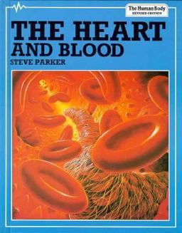 The Heart and Blood