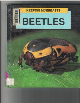 Beetles