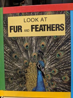 Fur and Feathers