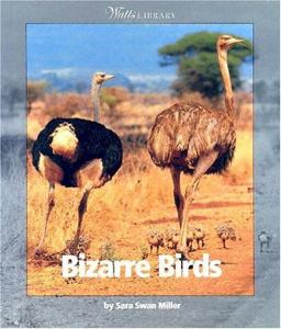 Bizarre Birds