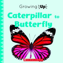 Caterpillar to Butterfly (Growing up) (Library Edition)