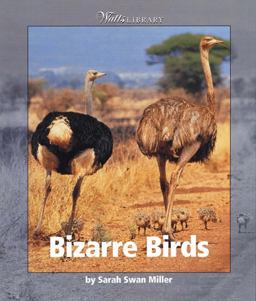 Watts Library: Bizarry Birds