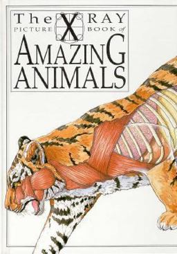Amazing Animals