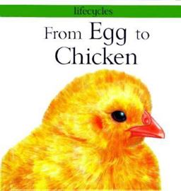 From Egg to Chicken
