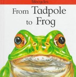 From Tadpole to Frog