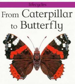 From Caterpillar to Butterfly