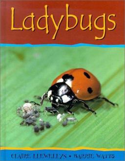 Ladybugs