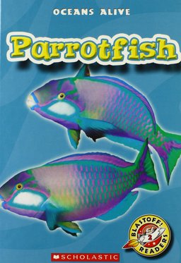 Parrotfish