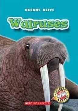 Walruses