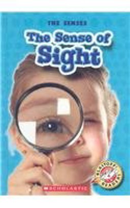 The Sense of Sight