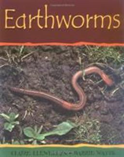 Minibeasts: Earthworms