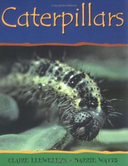 Caterpillars