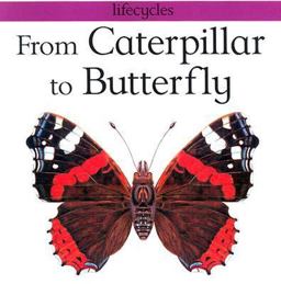 From Caterpillar to Butterfly