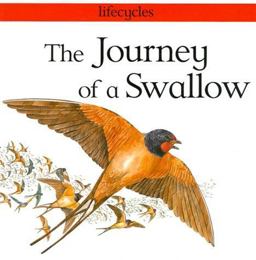 The Journey of a Swallow