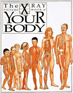 Your Body