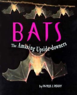 Bats