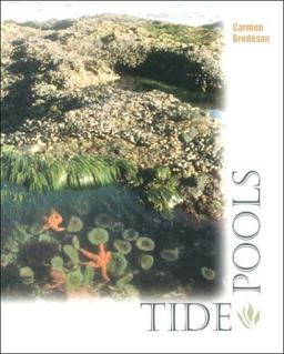 Tide Pools