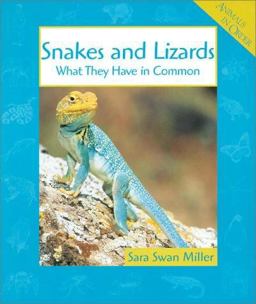 Snakes and Lizards