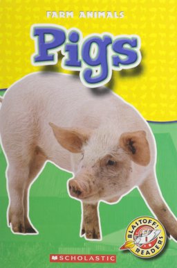 Pigs Pigs