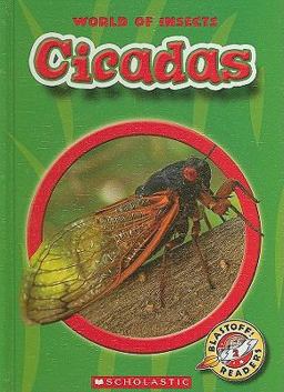 Cicadas
