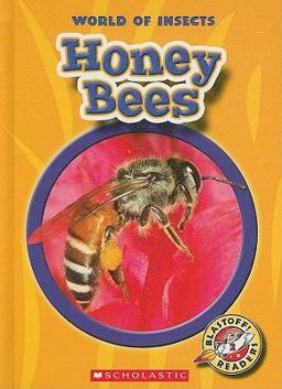 Honey Bees
