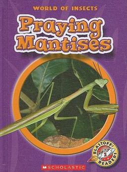Praying Mantises