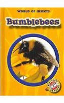 Bumblebees