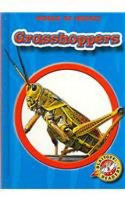 Grasshoppers