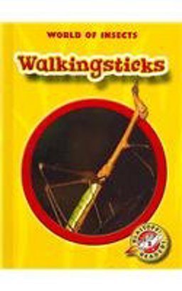 Walkingsticks