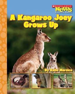 A Kangaroo Joey Grows Up
