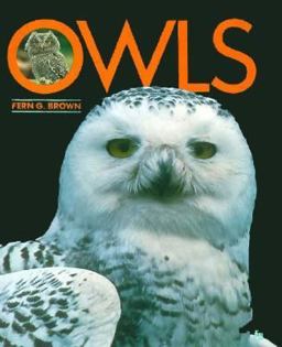 Owls